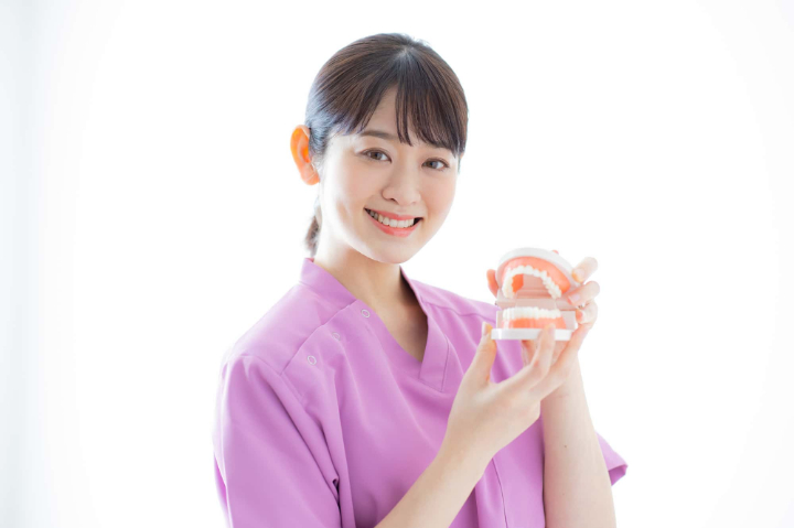 入れ歯について説明するイメージ