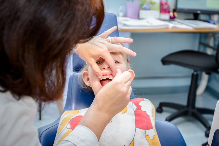 歯茎を確認する様子