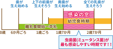 親御様がむし歯の場合に高まるお子様のリスク