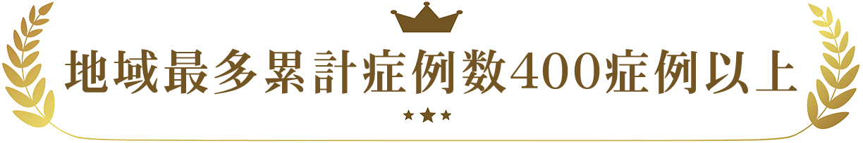 地域最多累計症例数400症例以上
